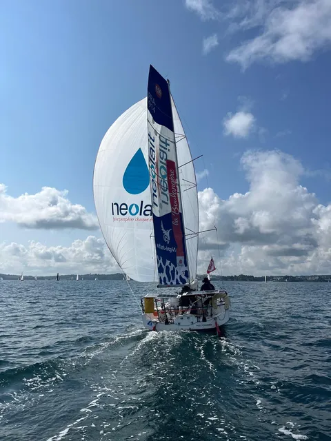 Détails techniques du Mini 6.50